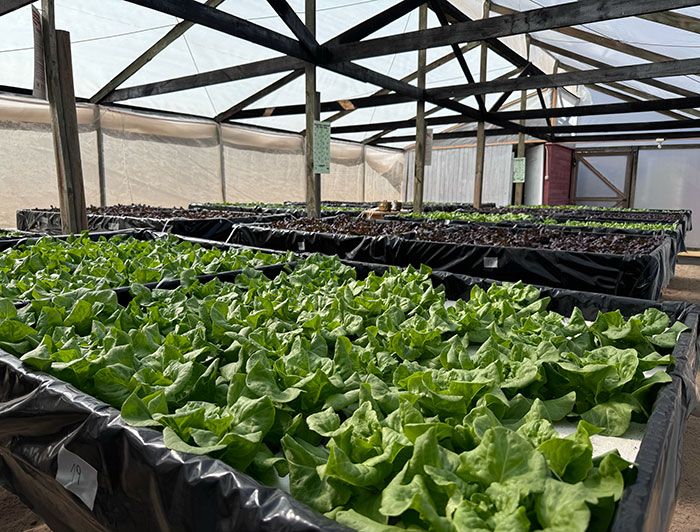 Imagen Principal de la actividad