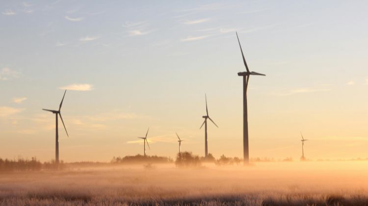 Imagen Principal de la actividad