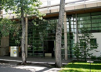 Imagen Principal de la actividad