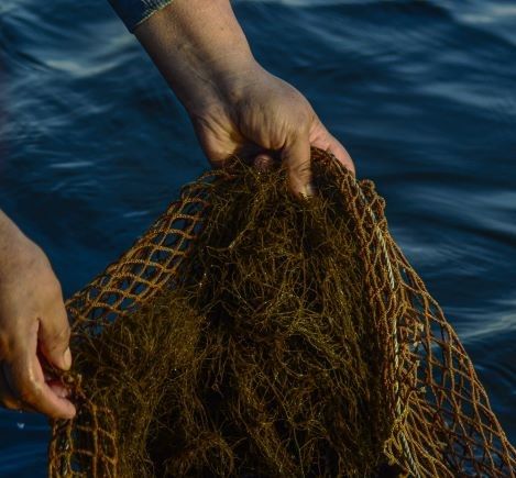 Manos de mujer recogen una red de pesca