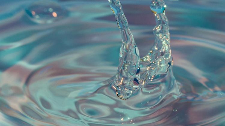 Imagen Principal de la actividad