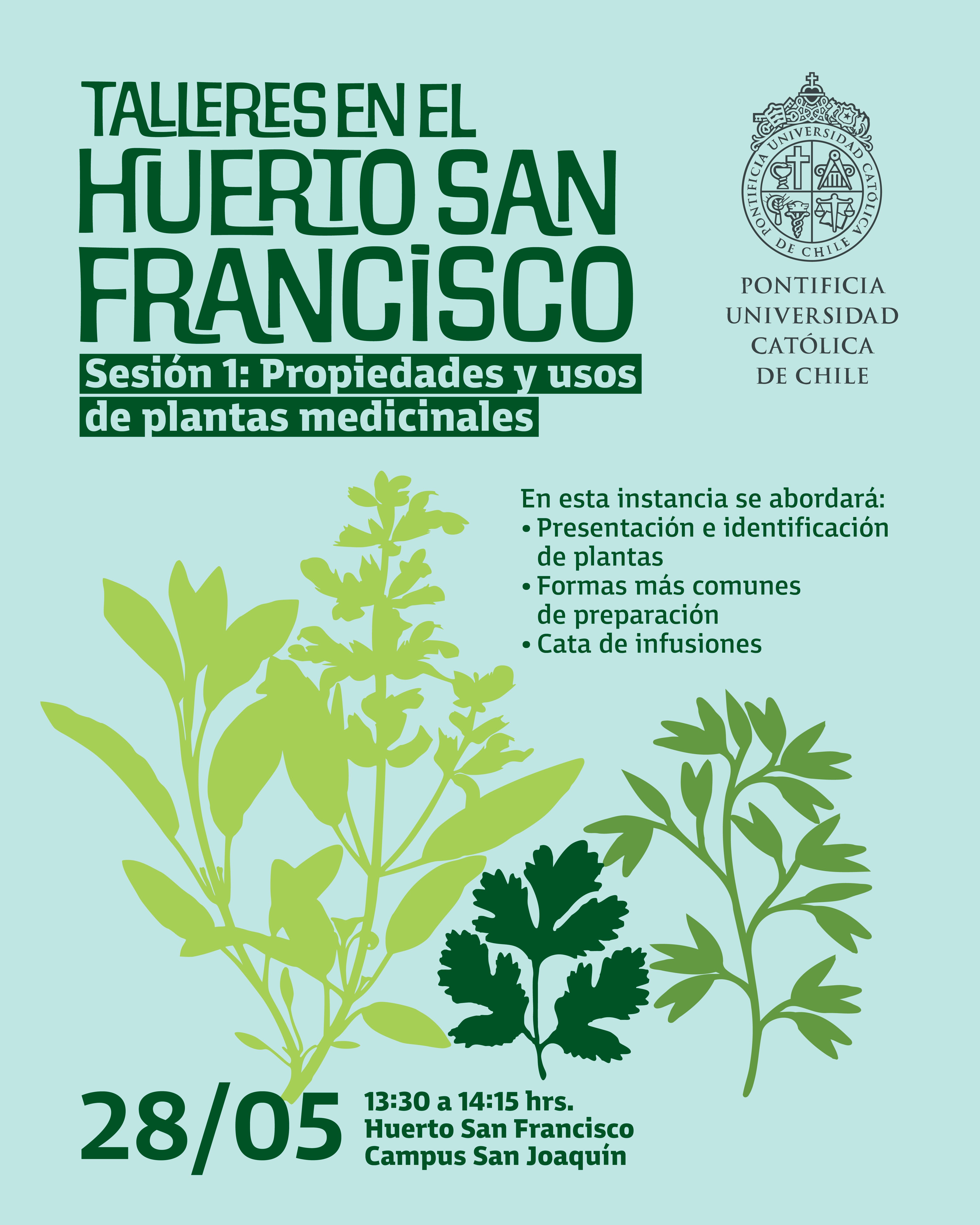 Imagen Huerto San Francisco_Final.jpg