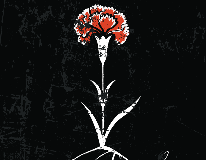 imagen flor documental Chomali