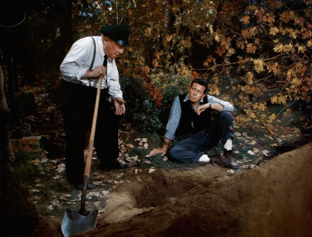 Imagen Principal de la actividad