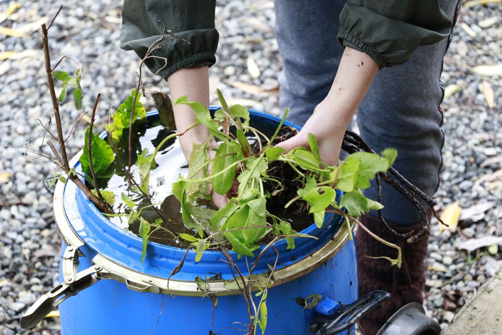 Imagen Principal de la actividad