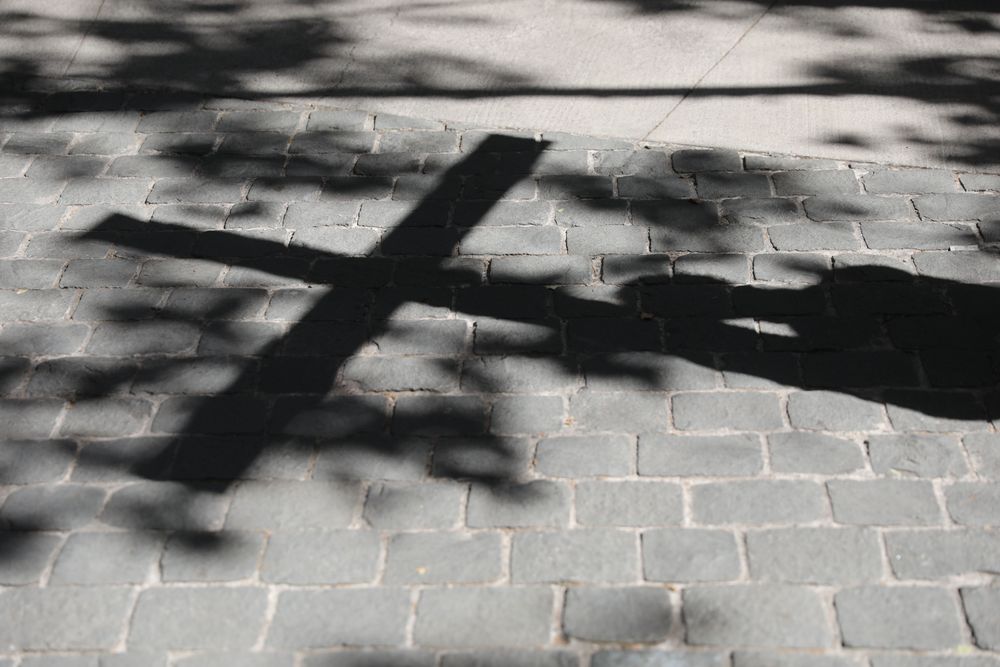 Imagen Principal de la actividad