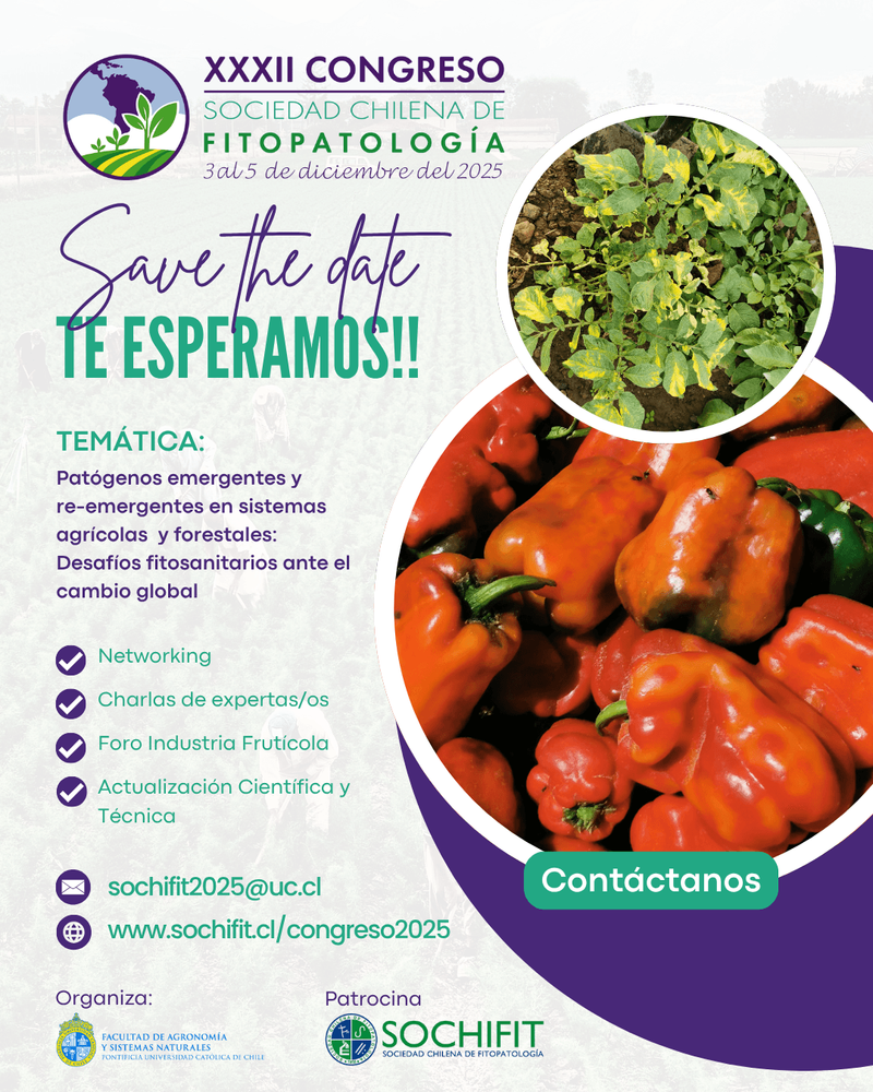 Imagen Principal de la actividad