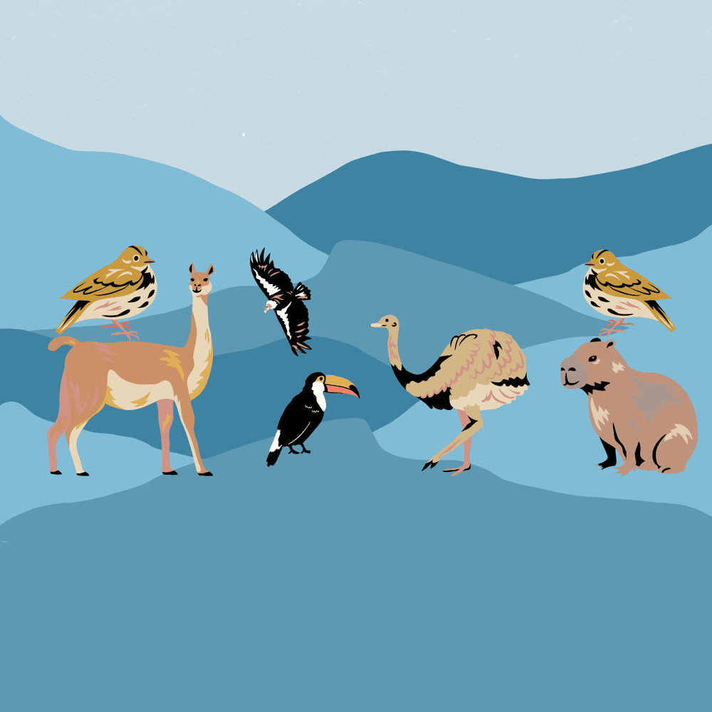 gráfica animales conversatorio