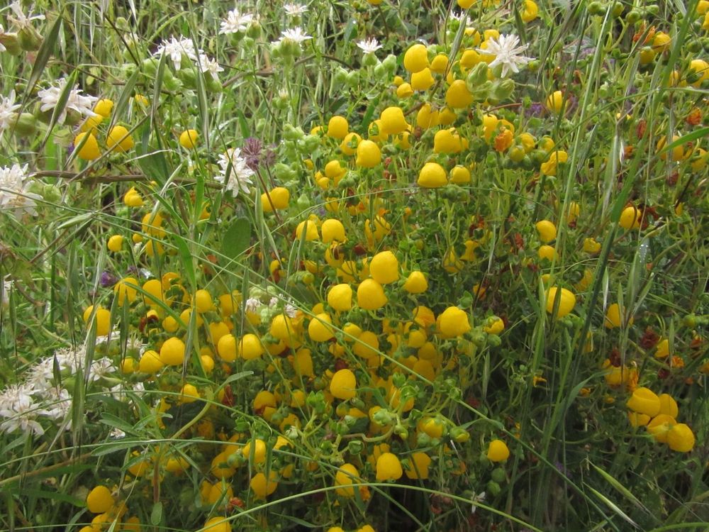 Imagen Principal de la actividad