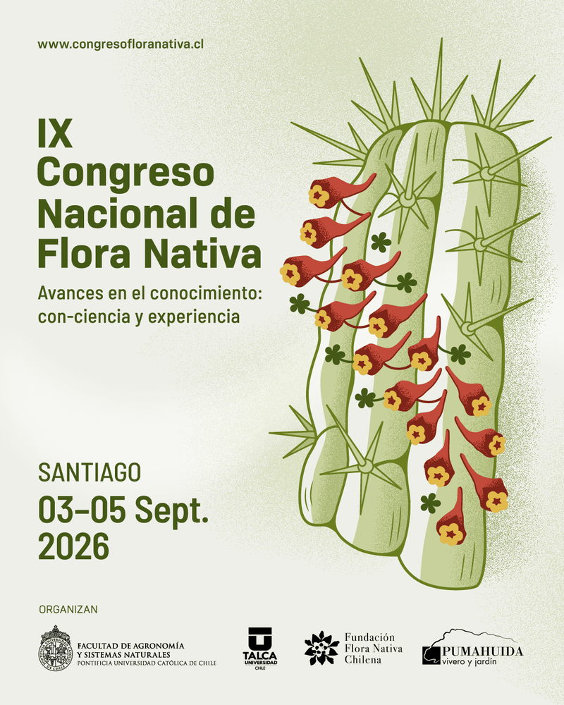 Imagen Principal de la actividad