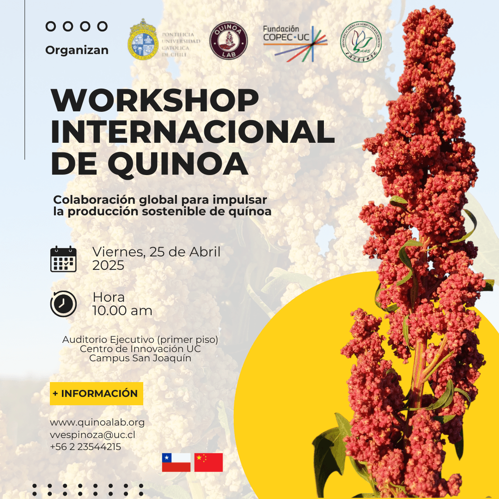 Imagen Principal de la actividad