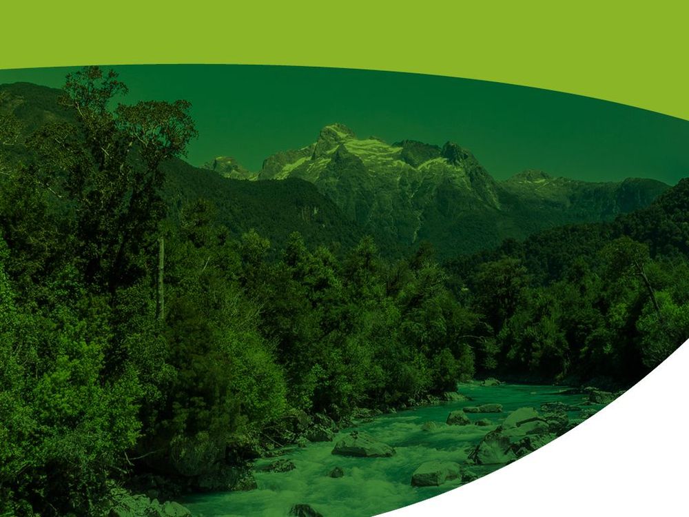 Imagen Principal de la actividad