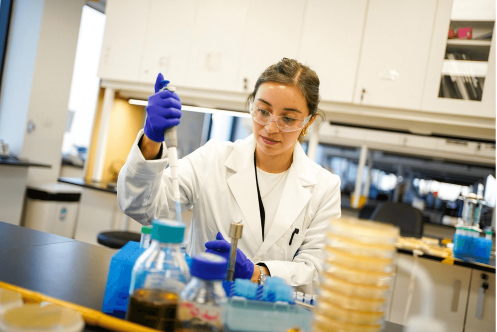 Imagen Principal de la actividad