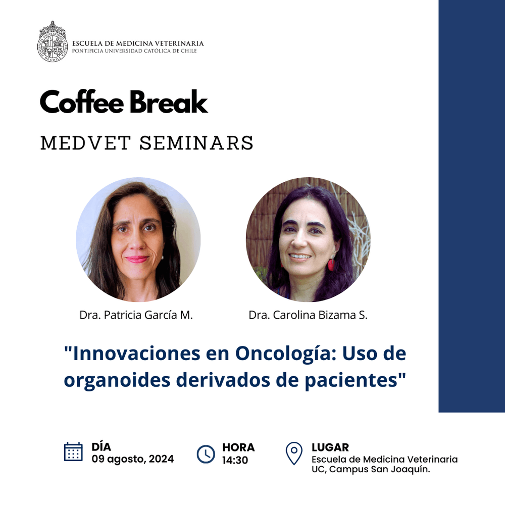 Imagen Principal de la actividad