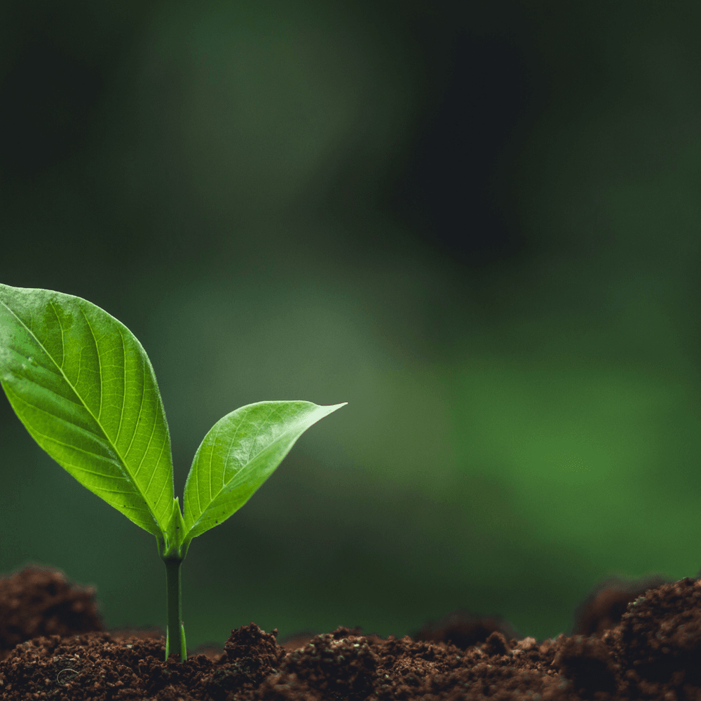 Gráfica Charla: Religión, Educación y Políticas Públicas en la Amazonía