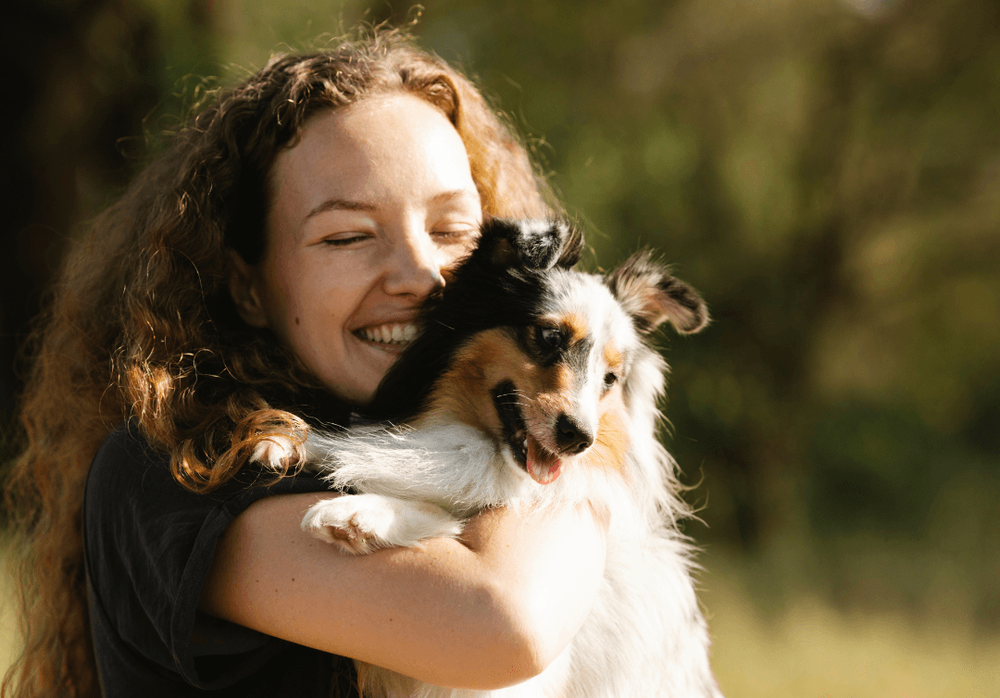 Imagen Principal de la actividad