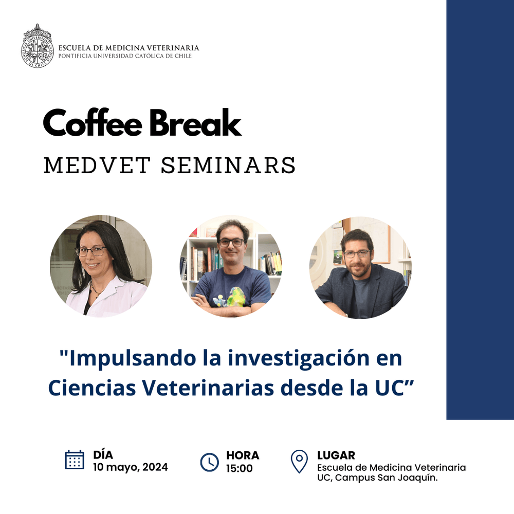 Imagen Principal de la actividad