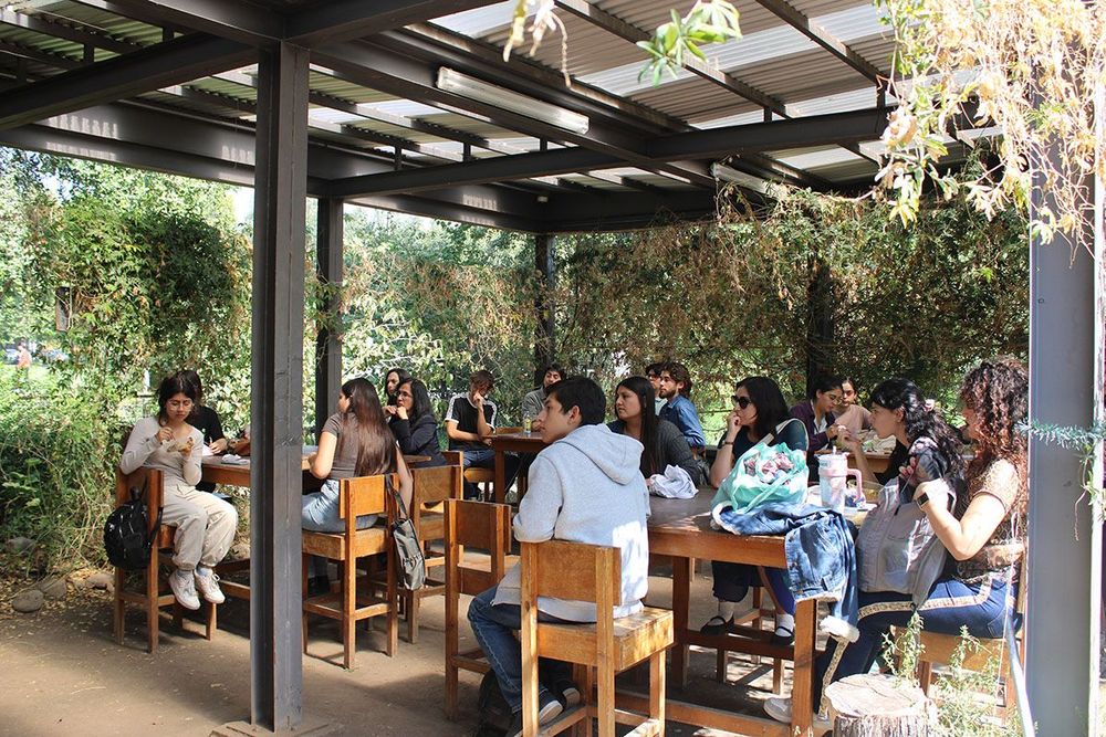 Imagen Principal de la actividad