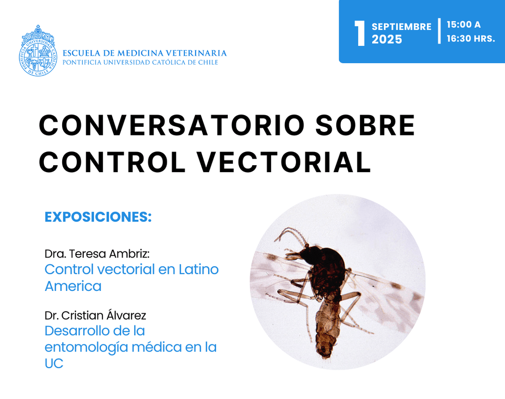 Imagen Principal de la actividad