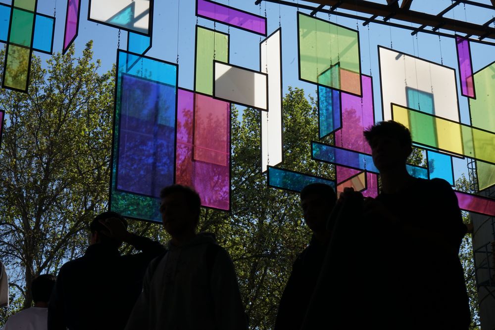 Imagen Principal de la actividad