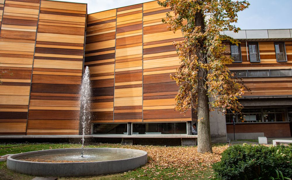 Imagen Principal de la actividad