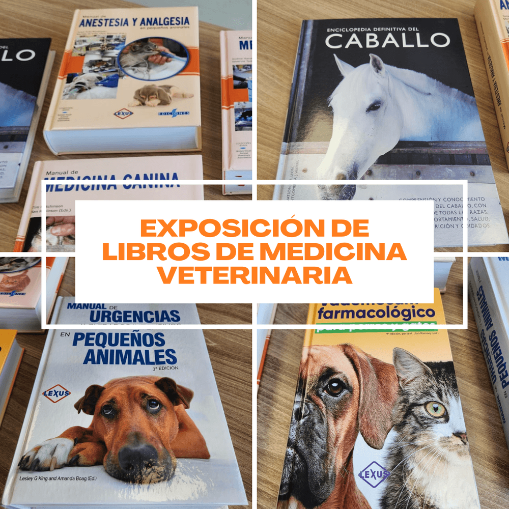 Imagen Principal de la actividad