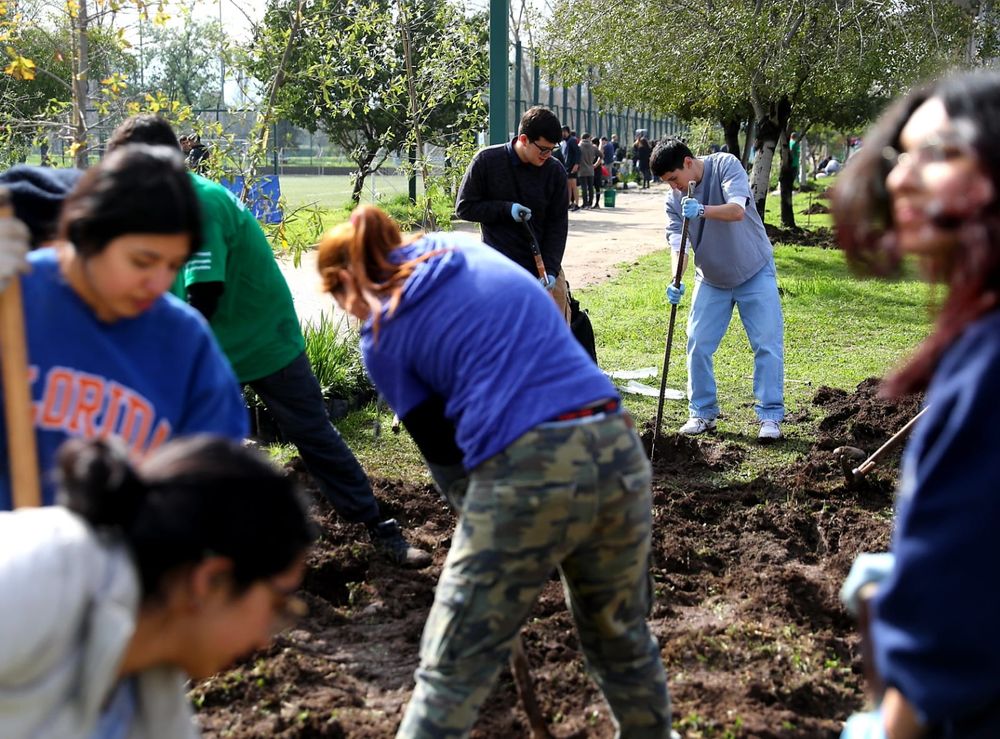 Imagen Principal de la actividad