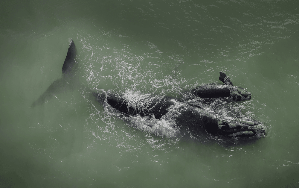 Imagen Principal de la actividad