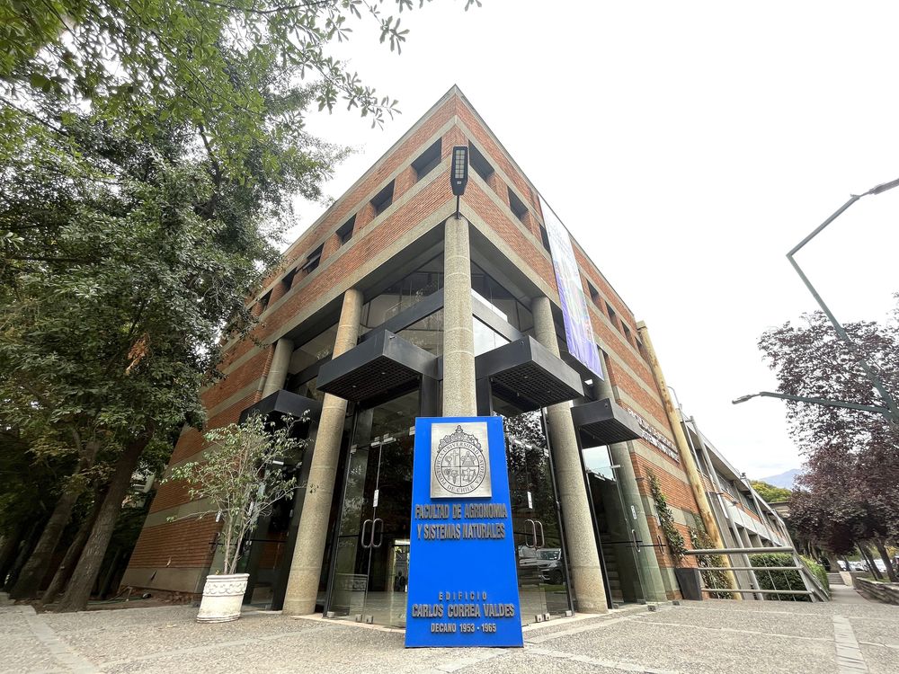 Imagen Principal de la actividad