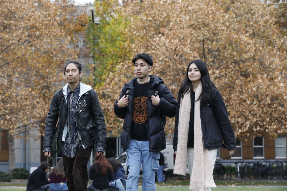 Imagen Principal de la actividad