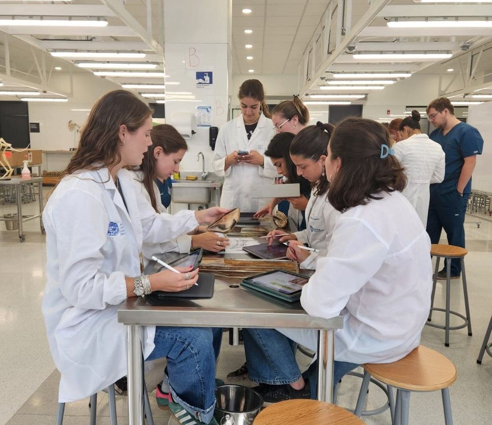 Imagen Principal de la actividad