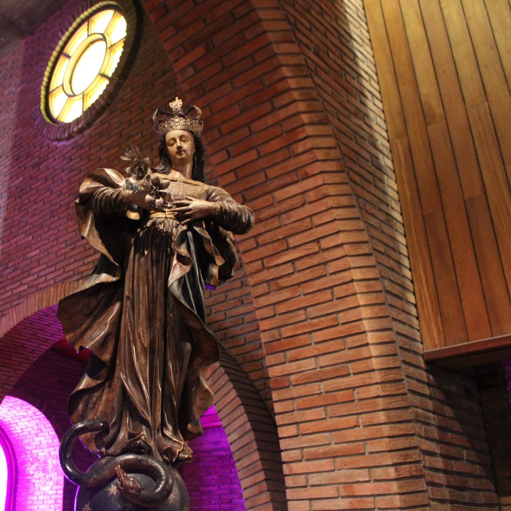 Imagen Principal de la actividad