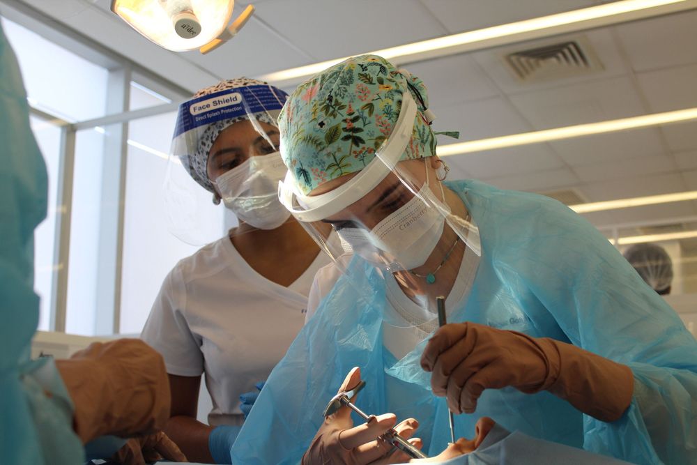 Imagen Principal de la actividad