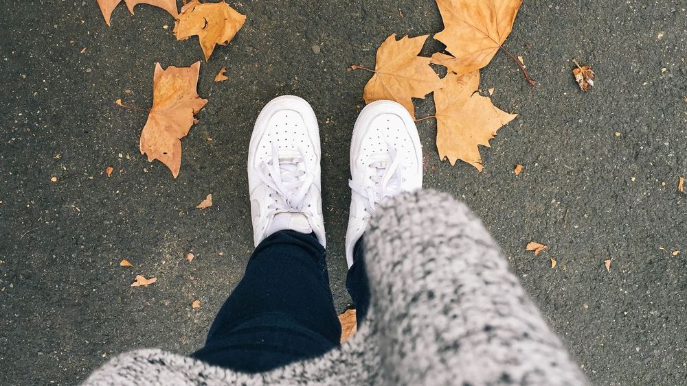 Imagen Principal de la actividad