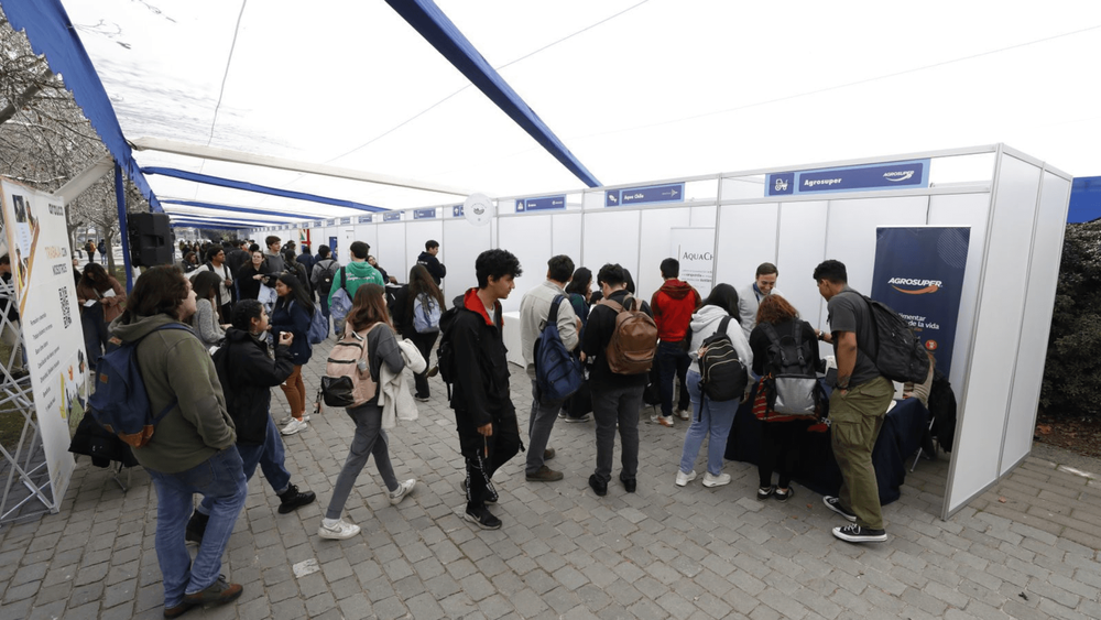 Imagen Principal de la actividad