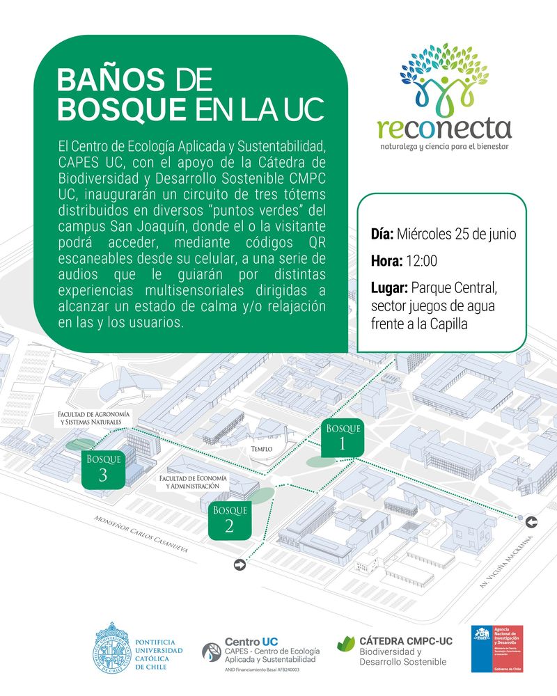 Imagen Principal de la actividad