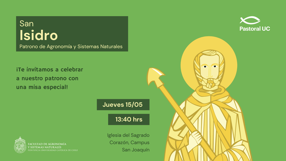 Imagen Principal de la actividad