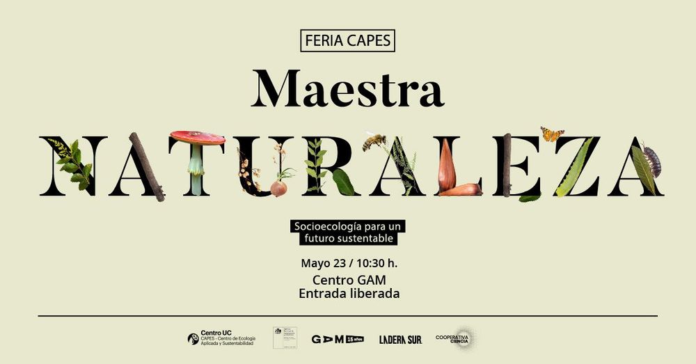 Imagen Principal de la actividad