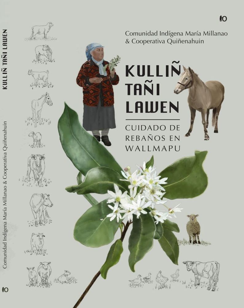 Imagen Principal de la actividad