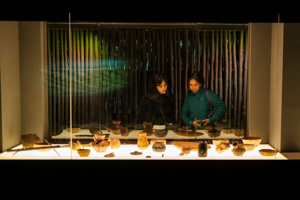 Imagen Principal de la actividad