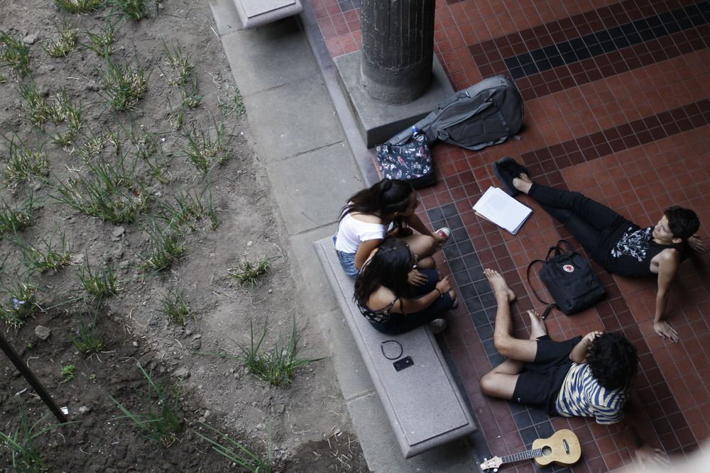 Imagen Principal de la actividad