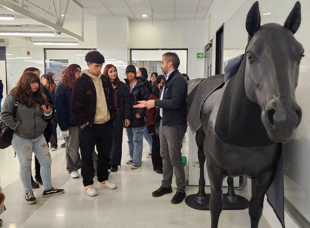 Imagen Principal de la actividad