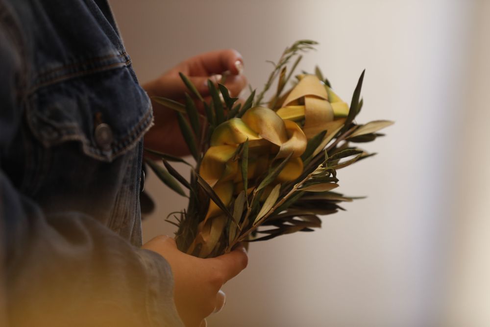 Imagen Principal de la actividad