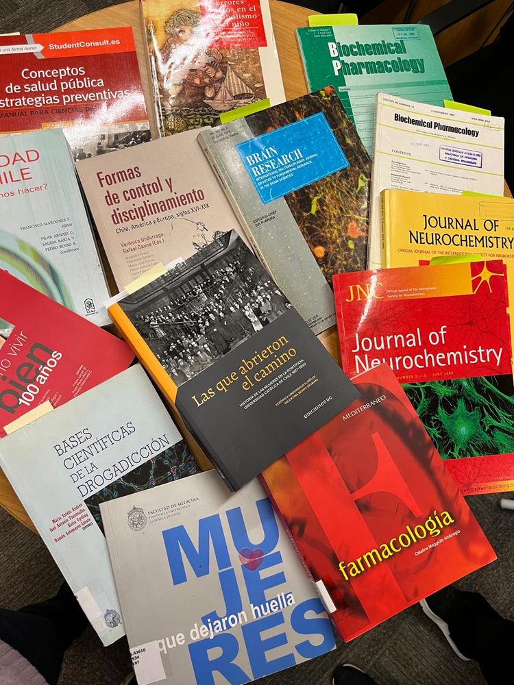 Imagen Principal de la actividad