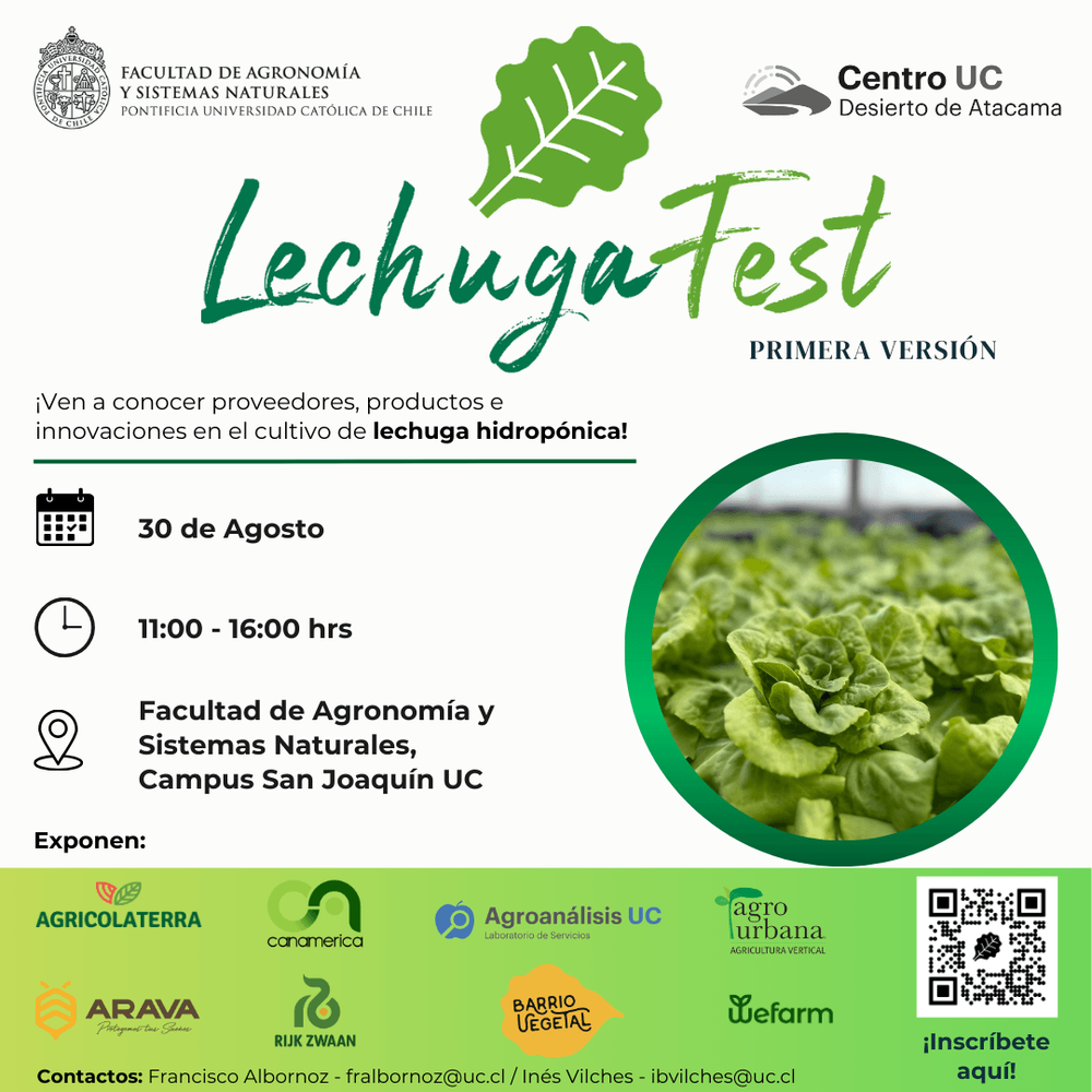 Imagen Principal de la actividad