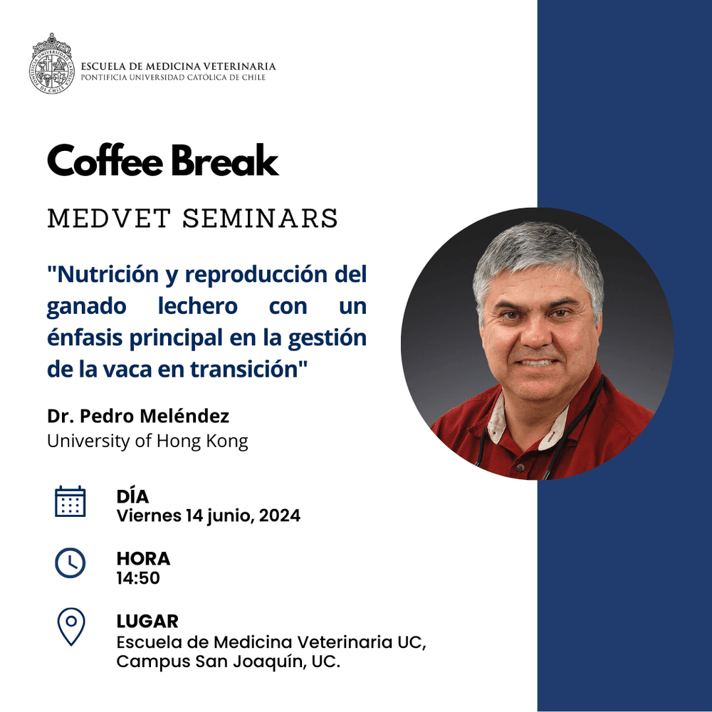 Imagen Principal de la actividad