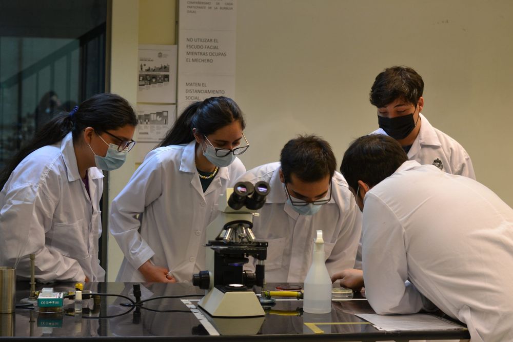 Imagen Principal de la actividad