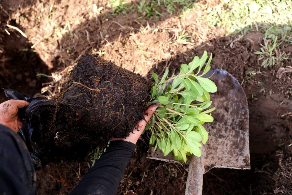 Imagen Principal de la actividad