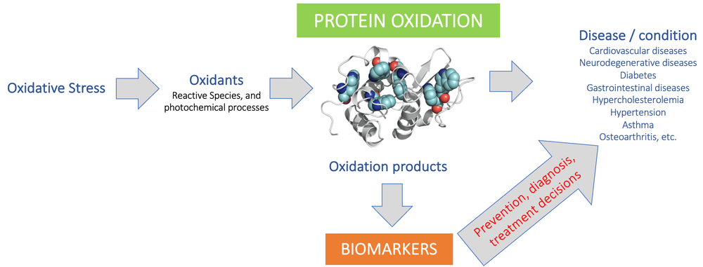 Imagen Principal de la actividad
