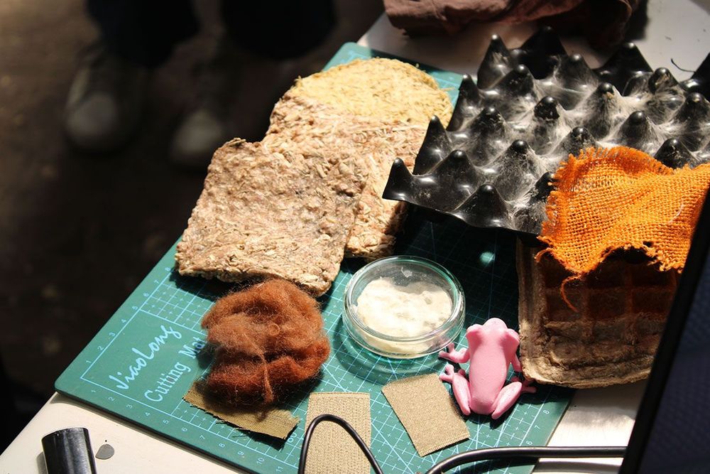 Imagen Principal de la actividad